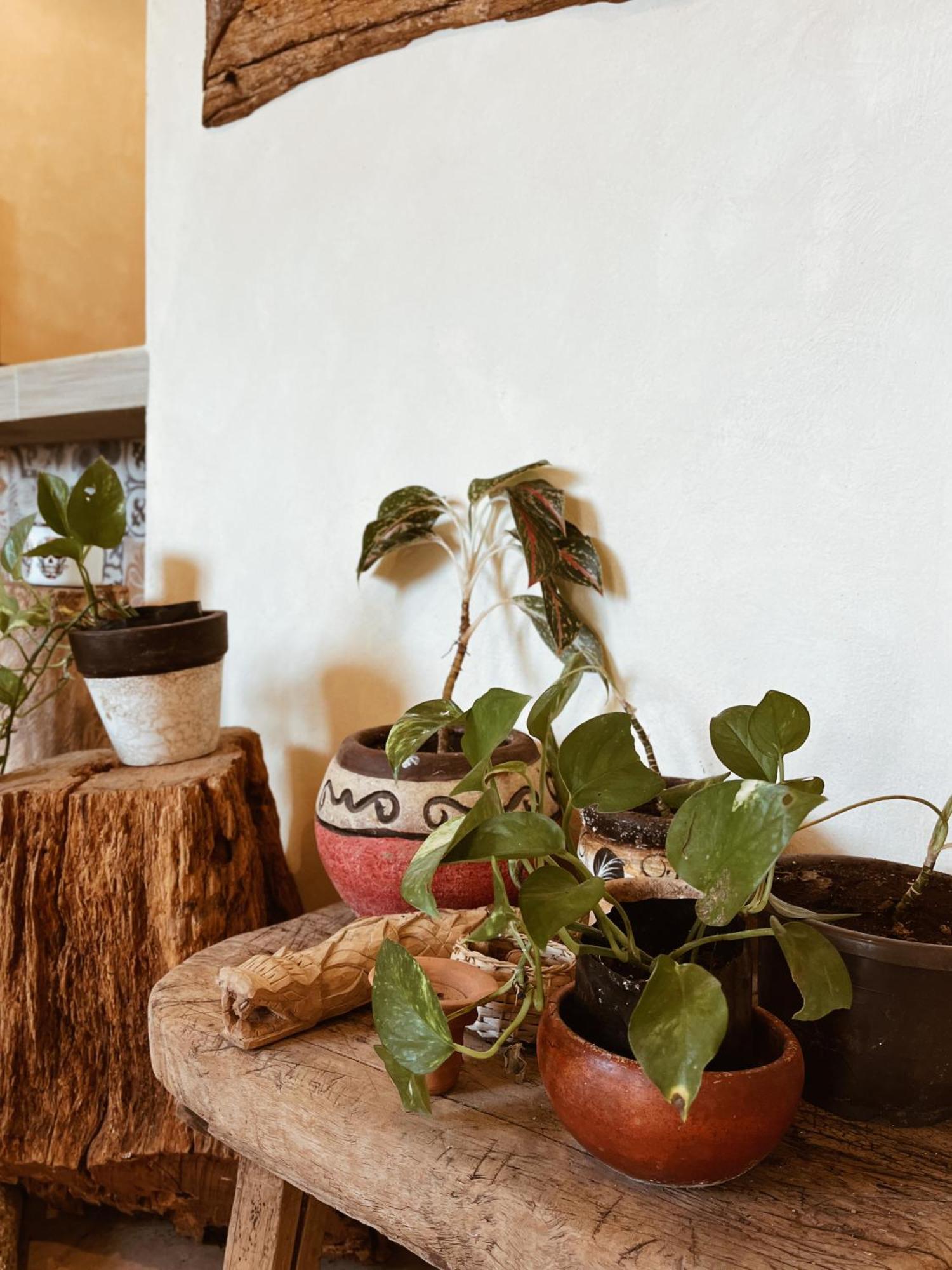 Sisal Loft Living Apartment Valladolid  Exterior photo